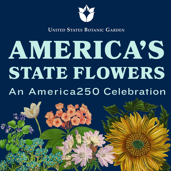 Americas State Flowers - An America250 Celebration exhibit at US Botanic Garden