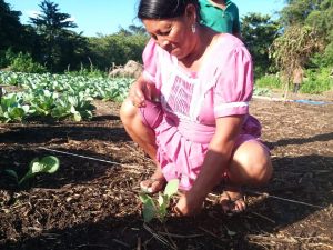 Belize-Child-Aid (1)