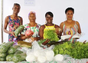 Brazil-Farmers-Clubs-e (1)