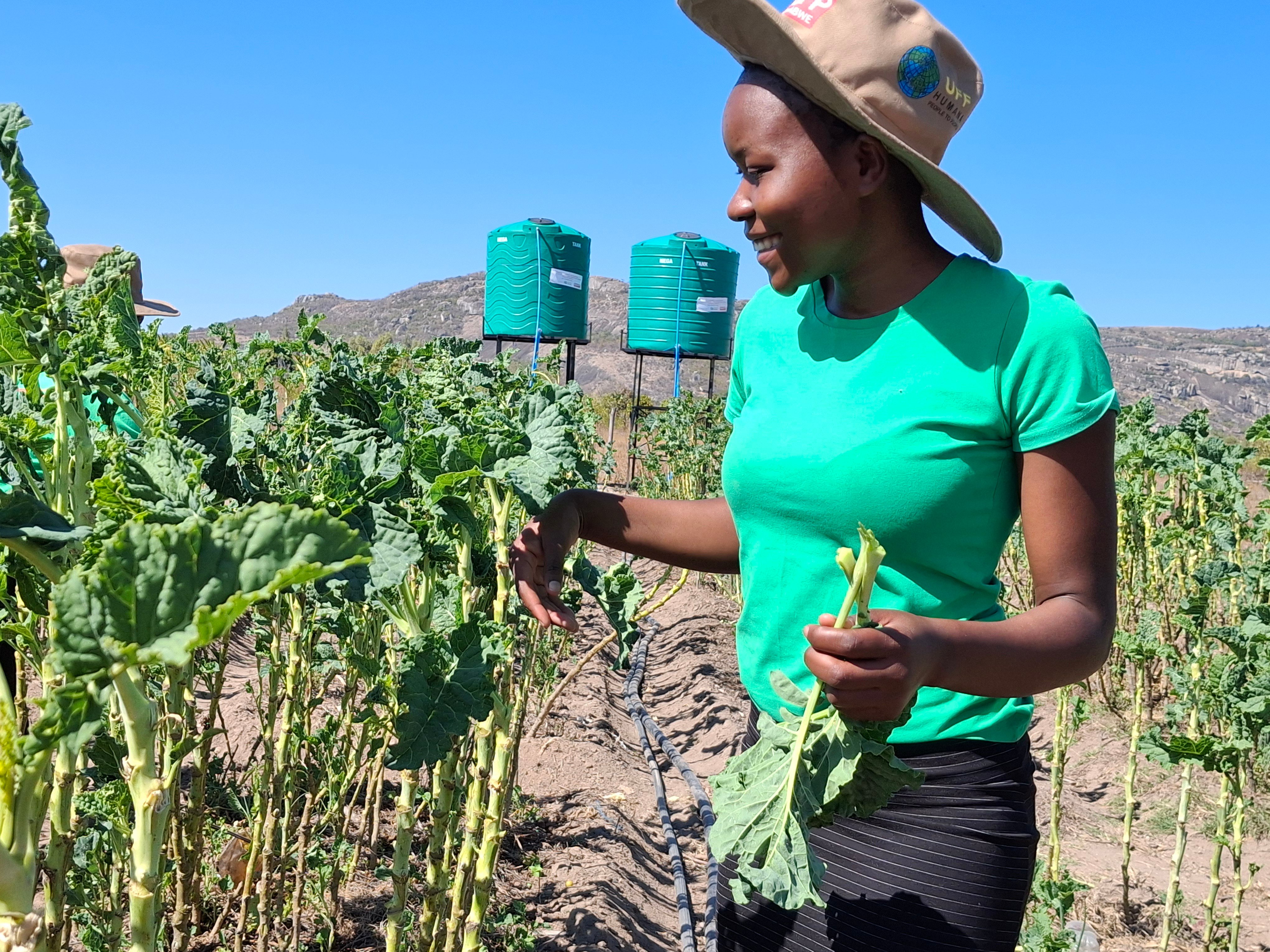 Female Youth farmer plucking vegetables