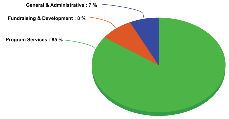 Financial_Pie_Chart-process-s800x416
