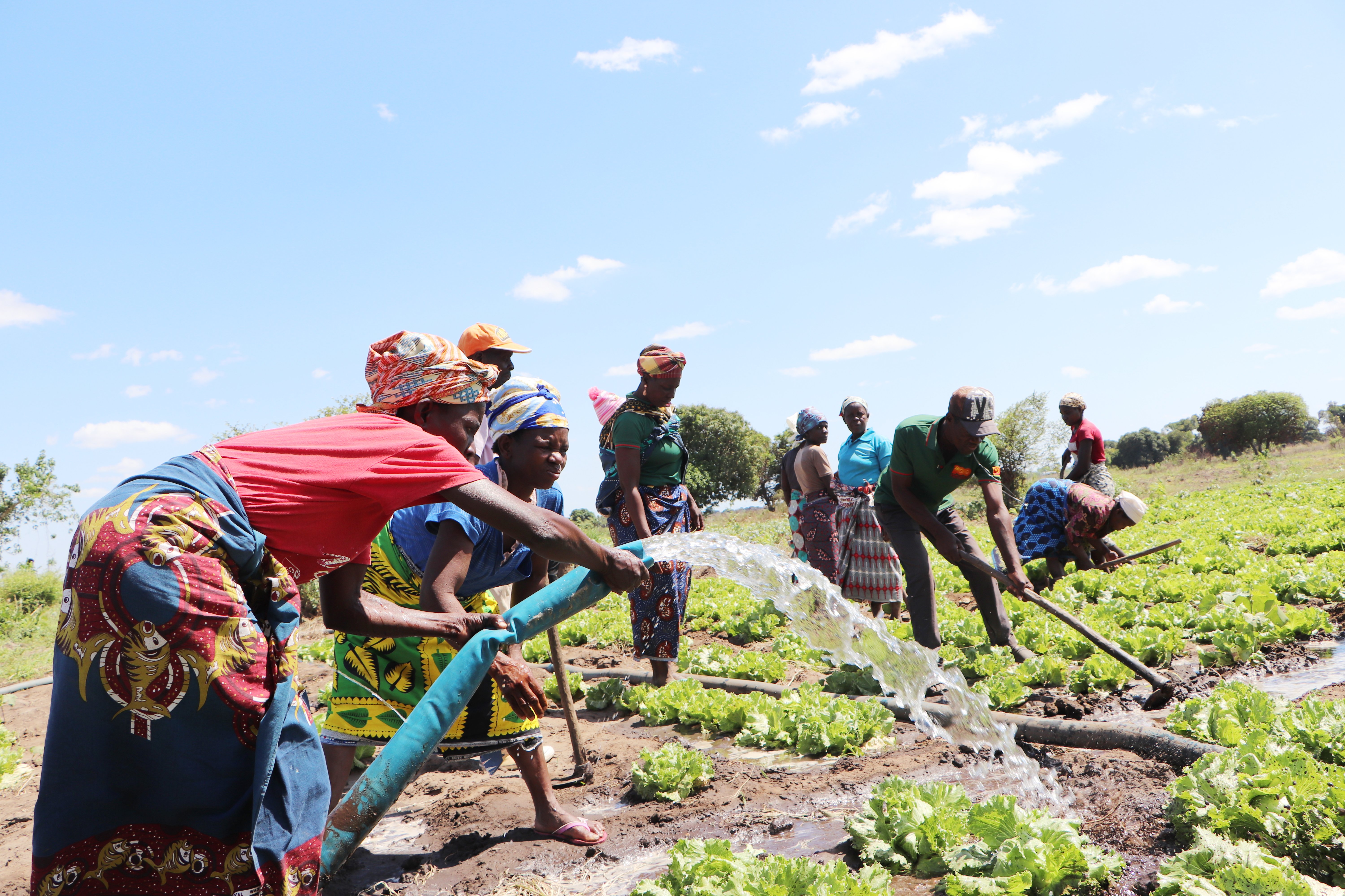 Rural Women Leading Climate Action and the Fight Against Poverty