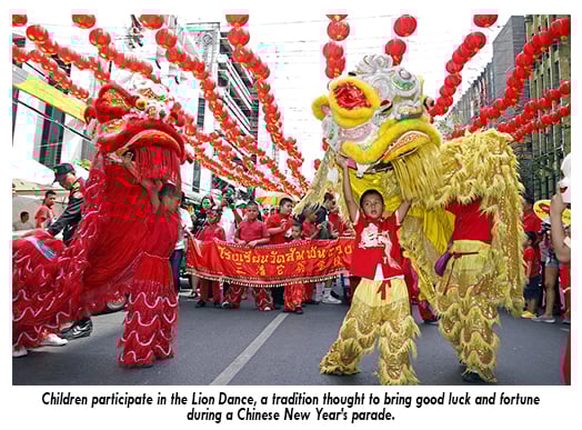 chinese new year, new year, earth dog, planet aid