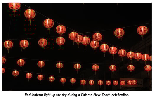 chinese new year, new year, earth dog, planet aid