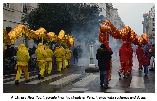 chinese new year, new year, earth dog, planet aid