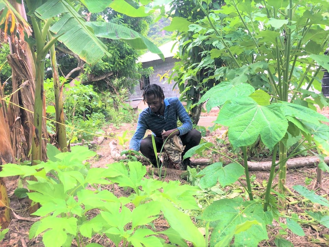 Student working in the garden