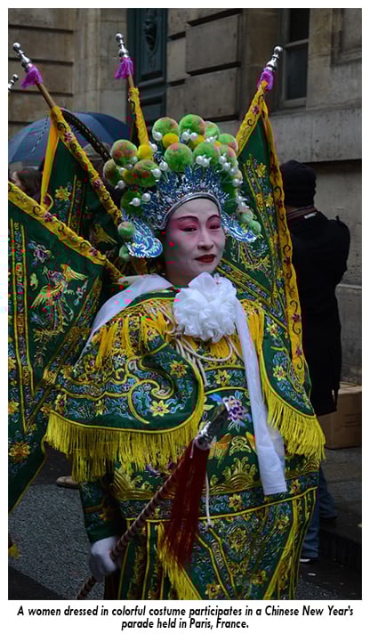 chinese new year, new year, earth dog, planet aid