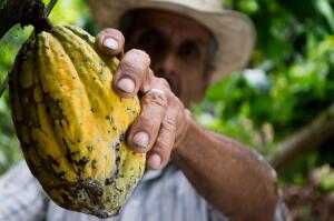cocoa, farmer, chocolate, valentine's day, planet aid, love