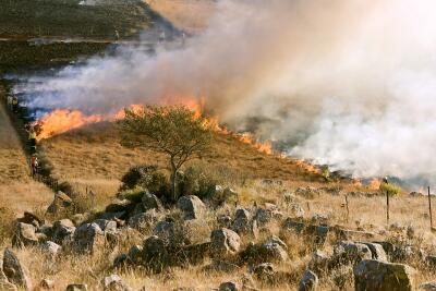 air, pollution, air quality, wildfire, planet aid, climate change, health