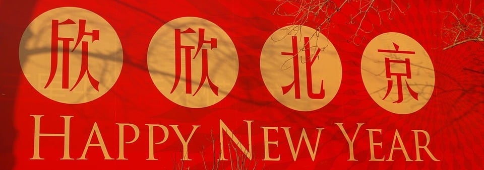 chinese new year, new year, earth dog, planet aid