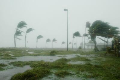 hurricane, damage, wind, storm, disaster, relief, planet aid