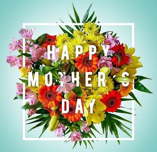 mother's day, earth-friendly, gifts, green, planet aid