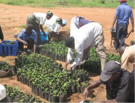 Malawi, Farmers clubs, Planet Aid