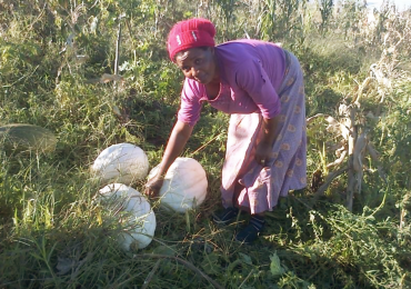 Nongejile, a smallholder farmer