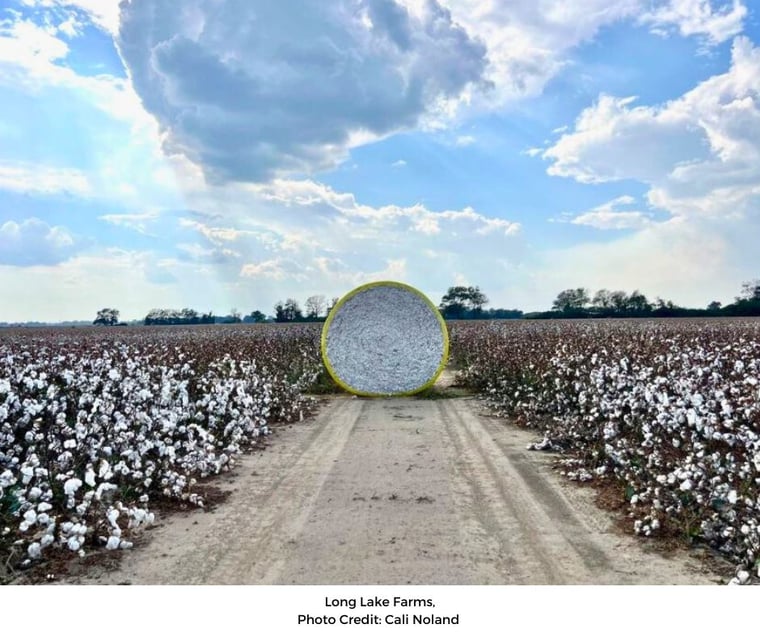 Long-Lake-Farms-cotton-bale