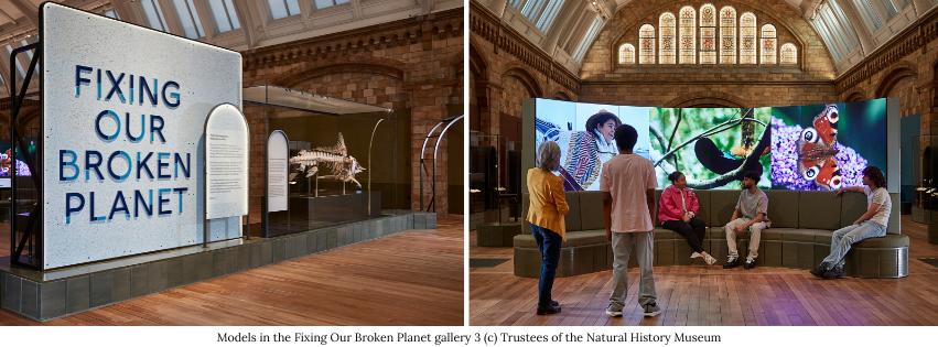 Natural History Museum-London (2)