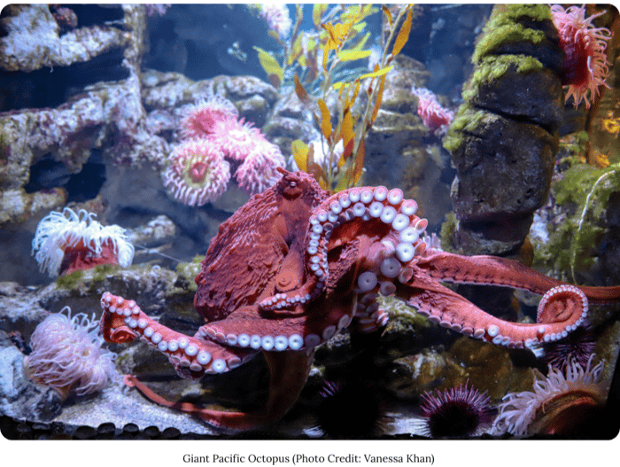 New England Aquarium-crop 2