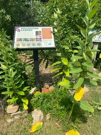 Pollinator Garden at CEI