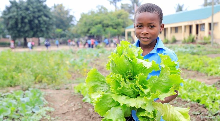 Sustainable-Agriculture-large